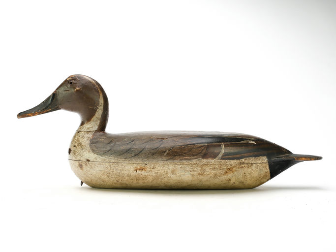 Robert Elliston – Pintail – 2025