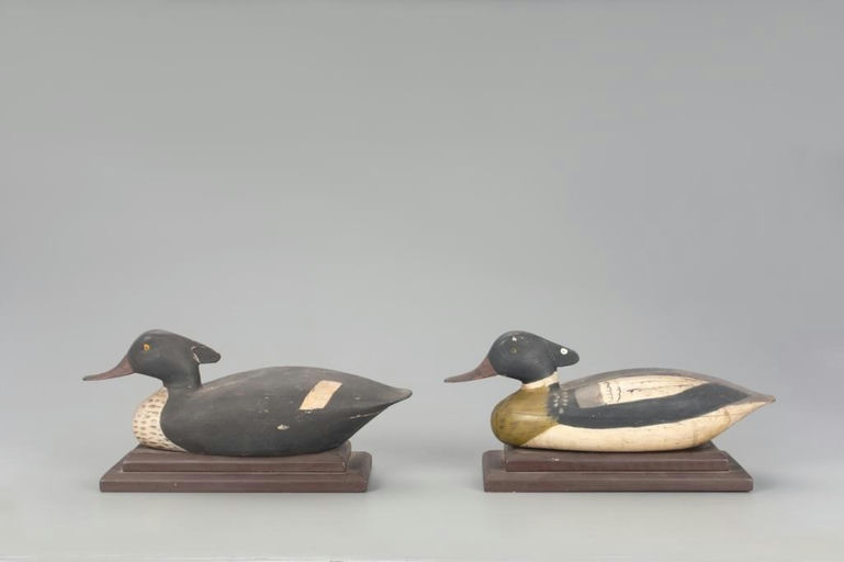 Jake Barrett – Red-Breasted Merganser Pair – 2021