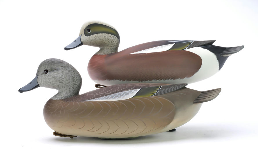 George Strunk – Pair of Widgeon – 2025