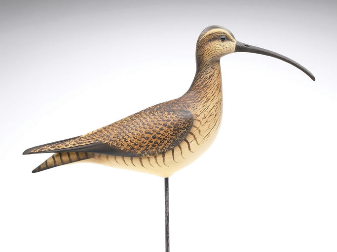 Bill Gibian – Curlew – 2024