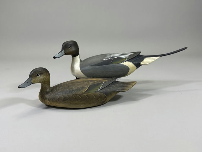 George Strunk – Pintail – 2026