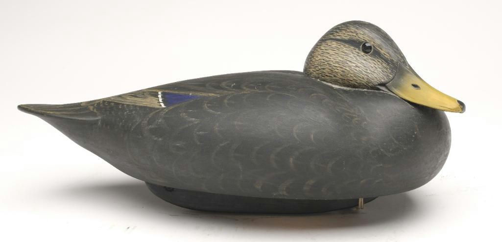 Marty Collins – Black Duck – 2023