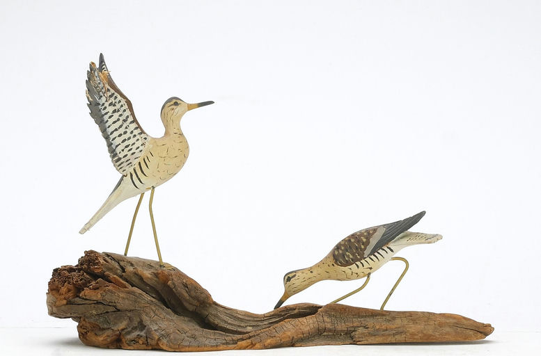 Russ Burr – Yellowlegs – 2024
