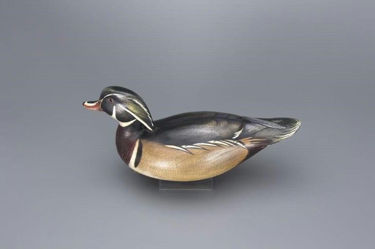 Jim Schmiedlin – Swimming Wood Duck Drake – 2017