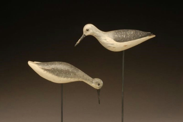 Chris Sprague – Feeding Yellowlegs – 2008