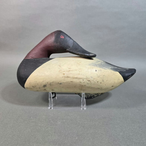 R. Madison Mitchell – Canvasback – 2026
