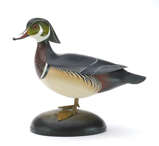 George Strunk – Wood Duck – 2024