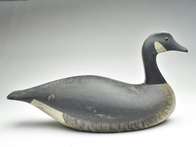 Joseph Lincoln – Canada Goose – 2023