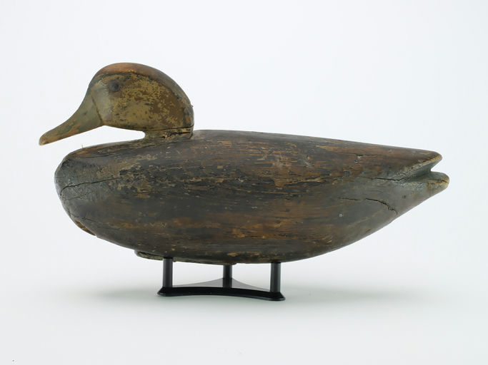 Eli Doughty – Black Duck – 2024