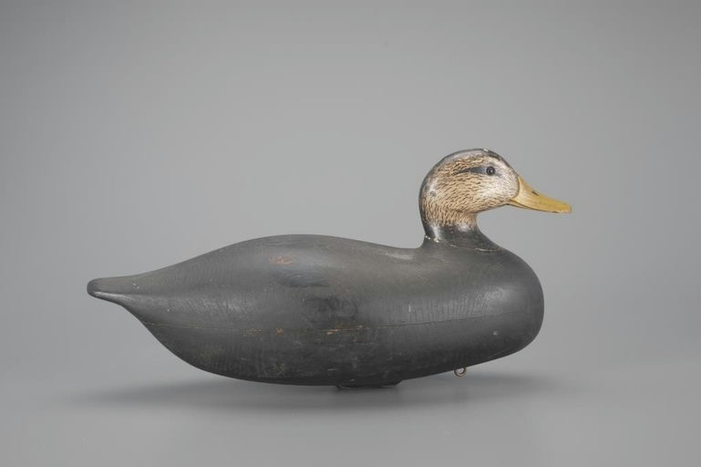 Clark Madera – Black Duck – 2024