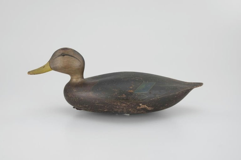 Benjamin Smith – Black Duck – 2026
