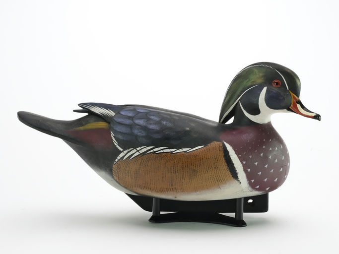Jim Schmiedlin – Wood Duck – 2024