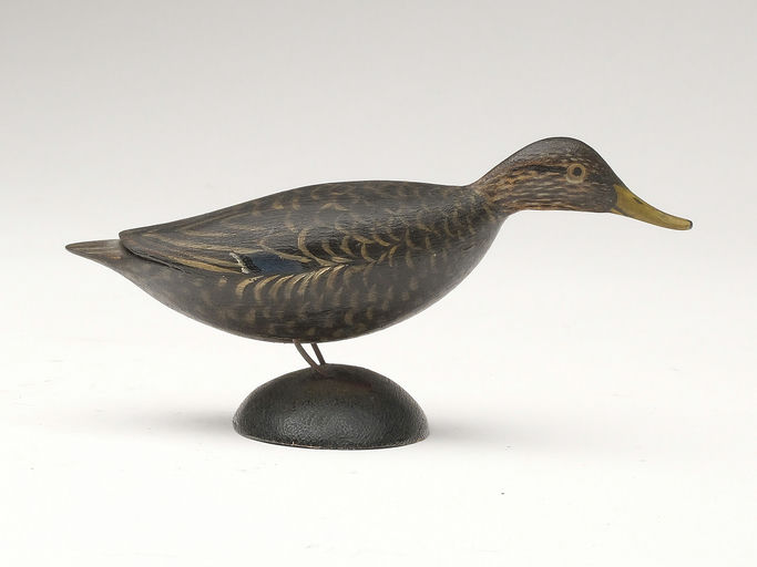 Elmer Crowell – Black Duck – 2023