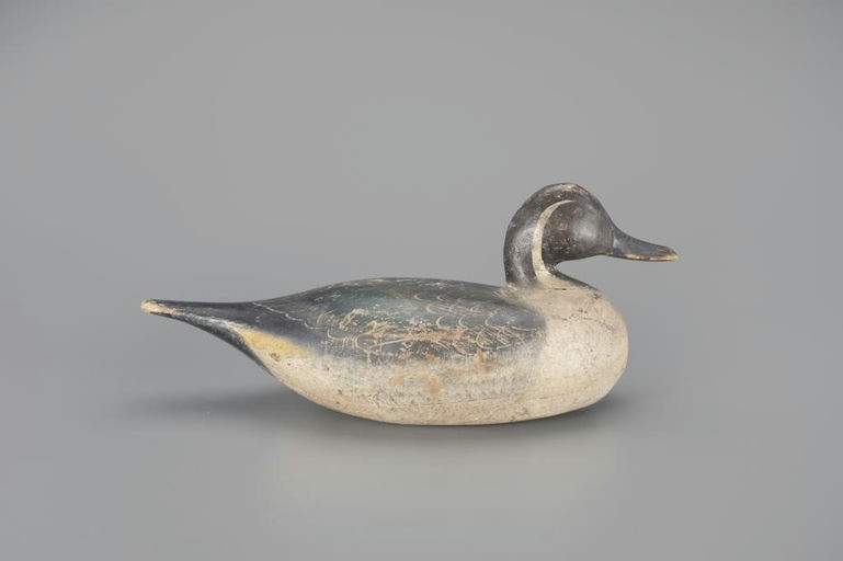 Norman Hudson – Pintail Drake – 2024