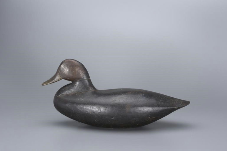 Sam Collins, Jr. – Black Duck – 2017