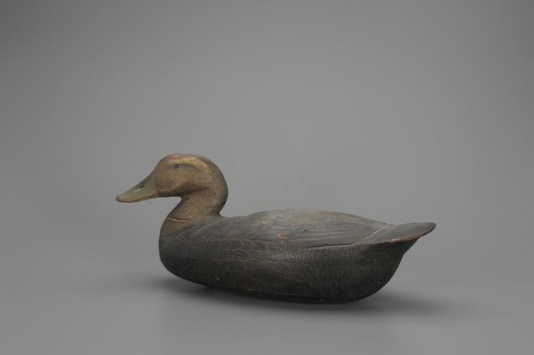 Roy H. Collins – Black Duck – 2018