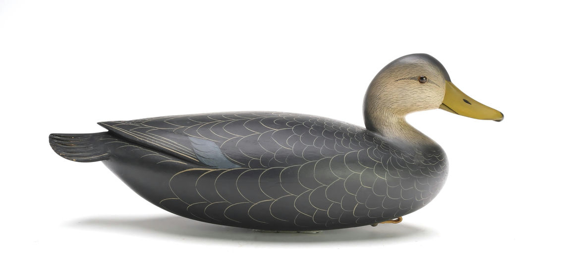George Strunk – Black Duck – 2026
