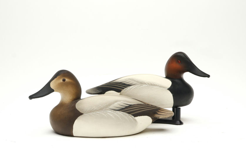 Charlie Joiner – Pair of Canvasback – 2026