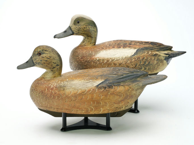 Ben Schmidt – Pair of Wigeon – 2025