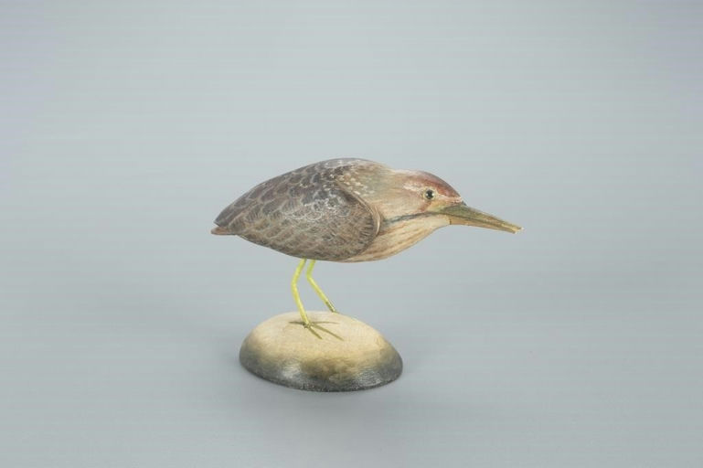 Frank Finney – Miniature American Bittern – 2022