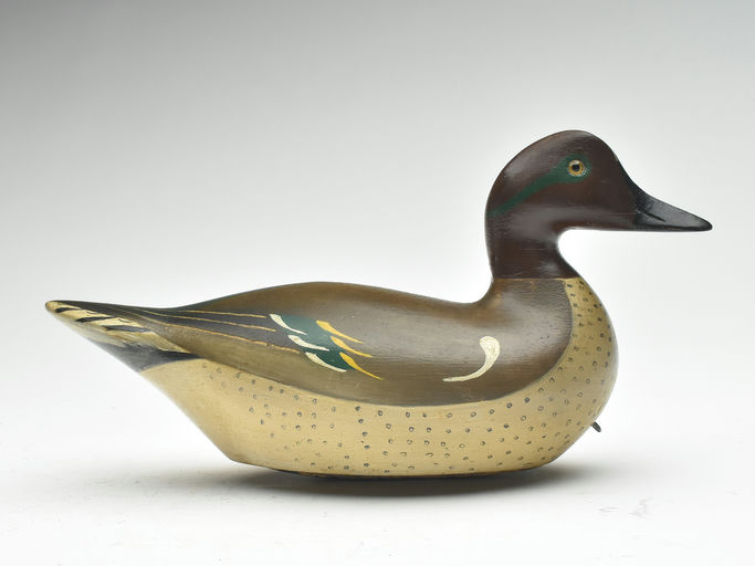 Charles Bergman — Green-winged Teal