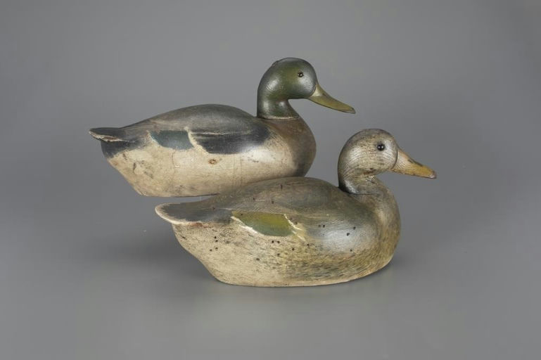 Clovis LeFebvre – Mallard Pair – 2024