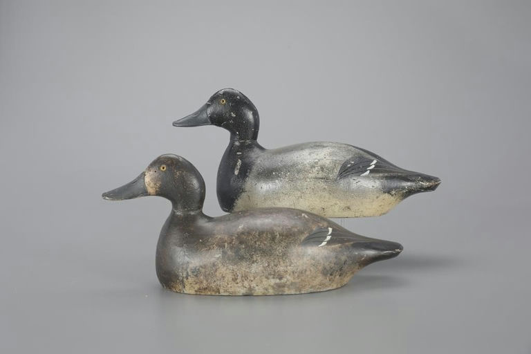 Evans Decoy Company – Oversize-Mammoth-Grade Bluebill Pair – 2023