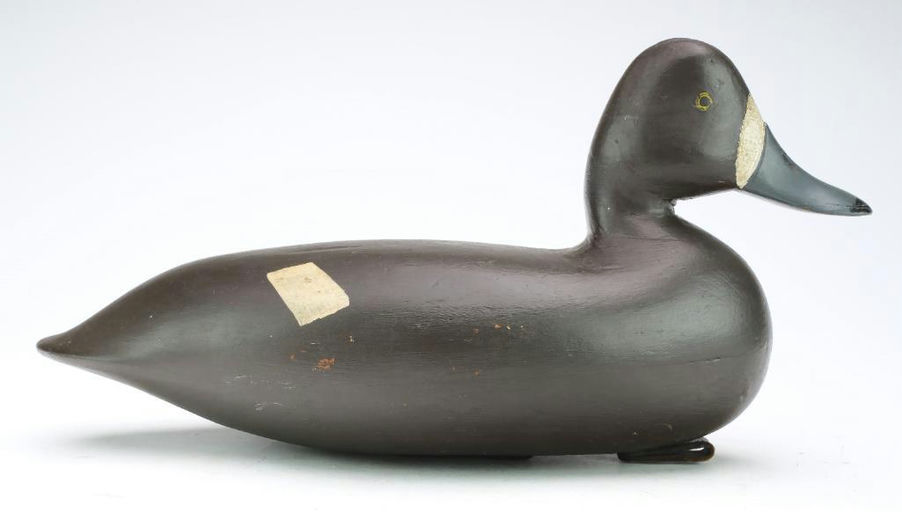 Harry V. Shourds – Scaup – 2024
