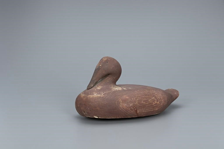 Gus Wilson – Outstanding Eider Hen – 2019