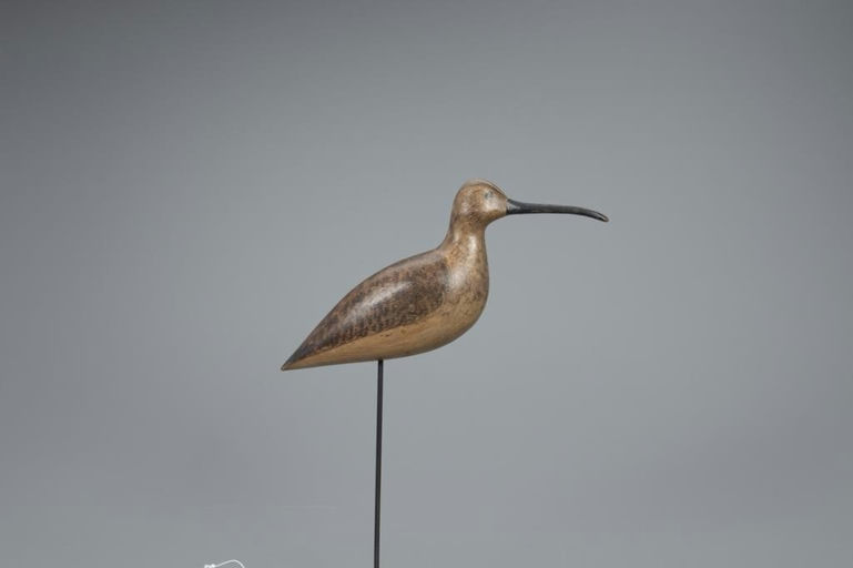 Harry V. Shourds – Curlew – 2020