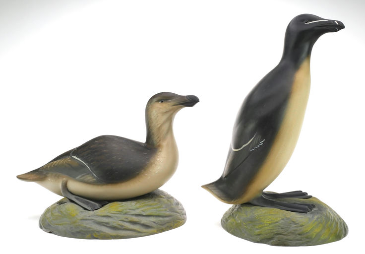 Sean Sutton – Pair of Razor Billed Auk, Mounted To Carved Wooden Bases – 2024