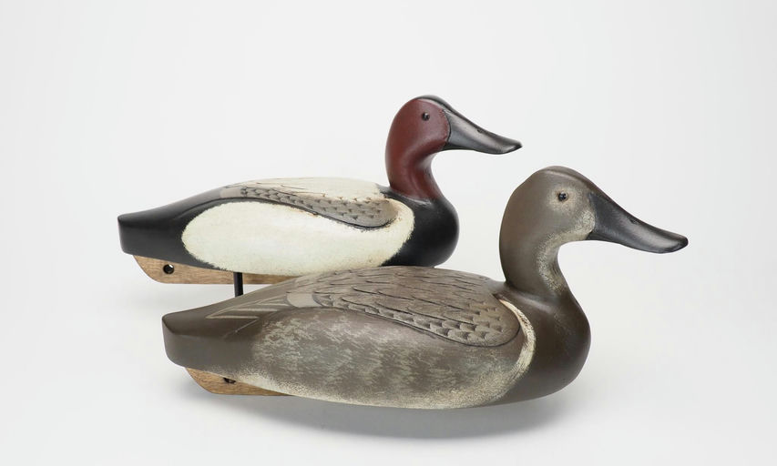 Pat Gregory — Canvasback Pair