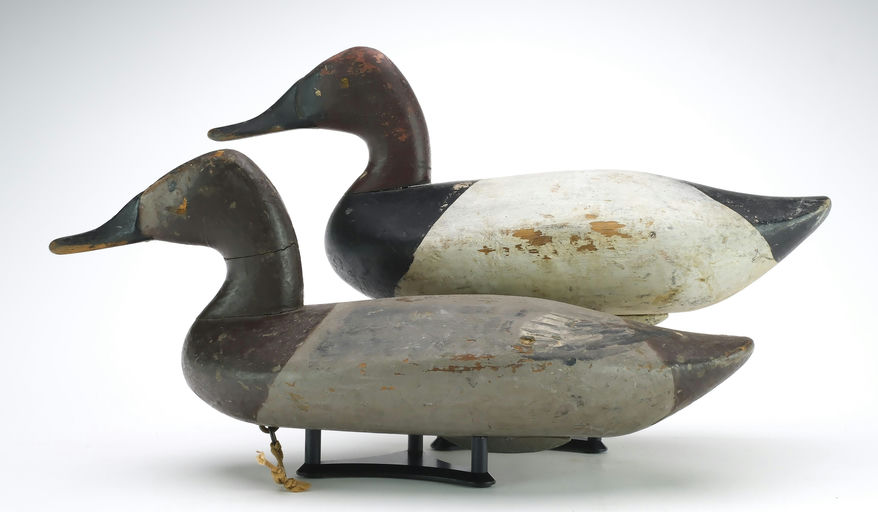 James Currier – Canvasback – 2024