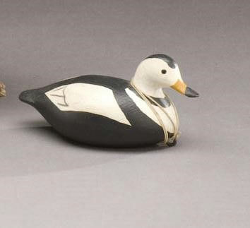 Ralf Coykendall, Sr. – Miniature Labrador Duck – 2009