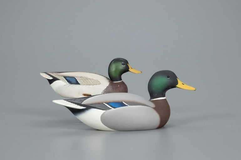 Oliver Lawson – Two Diminutive Mallard Drakes – 2020