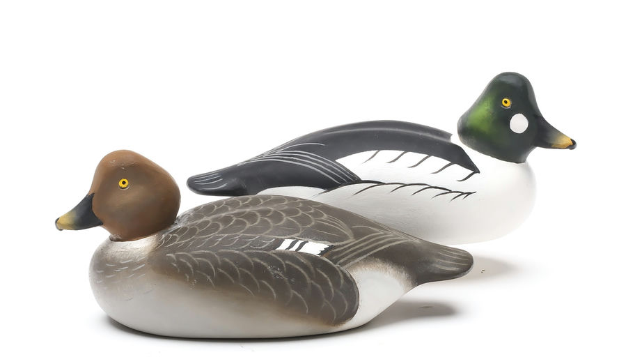 Charlie Joiner – Pair of Goldeneye – 2026