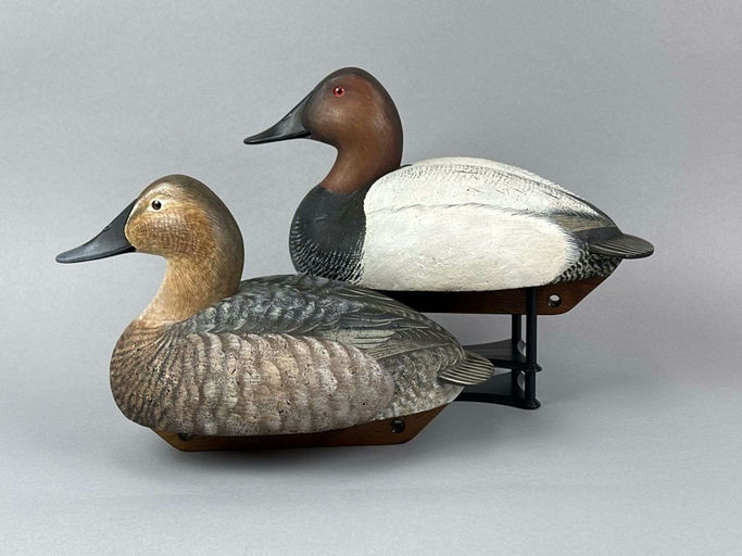 Bob Swann — Canvasback Duck