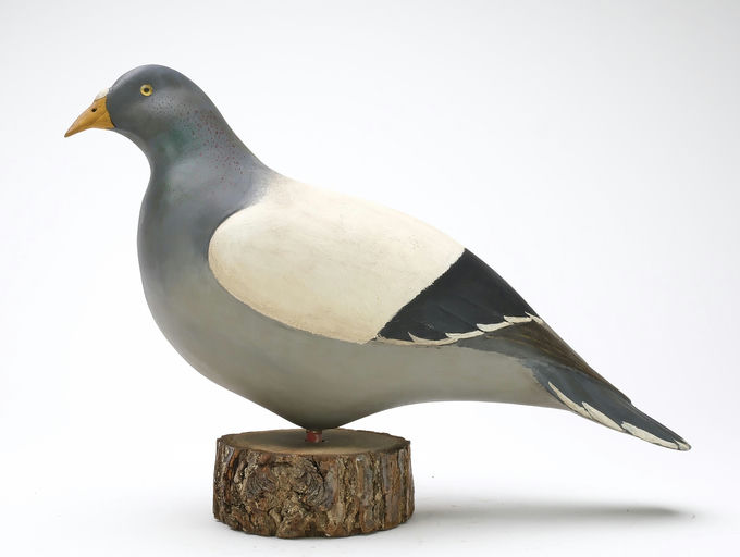 Bob White – Pigeon – 2025