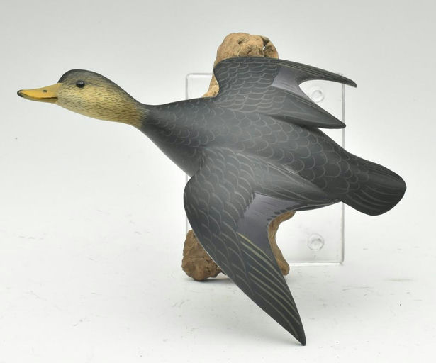 George Strunk – Black Duck – 2023