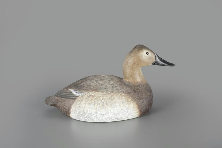 John Zachmann – Canvasback Hen – 2024