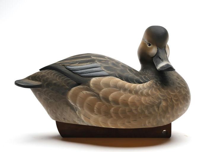 Sean Sutton – Hollow Carved Redhead Hen, Turned Head, Detail Carving – 2025