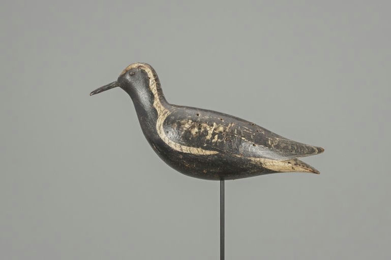 William J. Wyer – Golden Plover – 2018