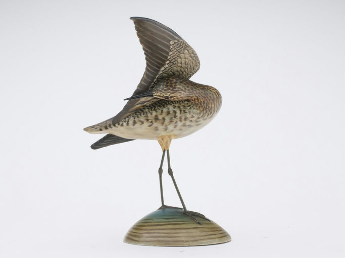Elmer Crowell – Preening Sandpiper – 2024