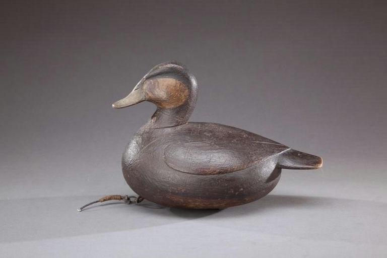 Mark McNair – Ruddy Duck – 2013
