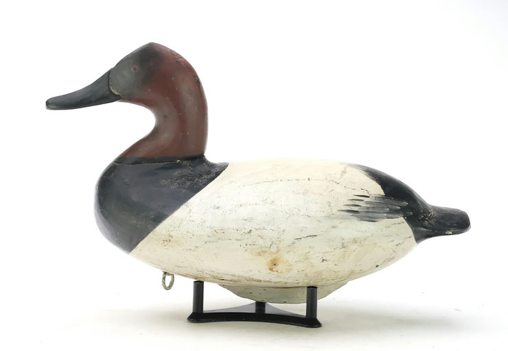 William Heverin – Canvasback – 2025