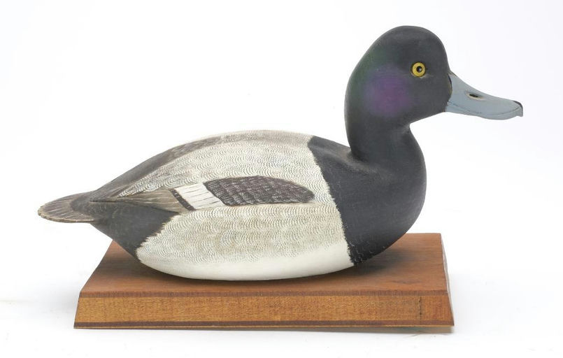 Corb Reed – Scaup – 2023