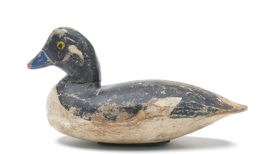 Doug Jester – Bufflehead – 2025