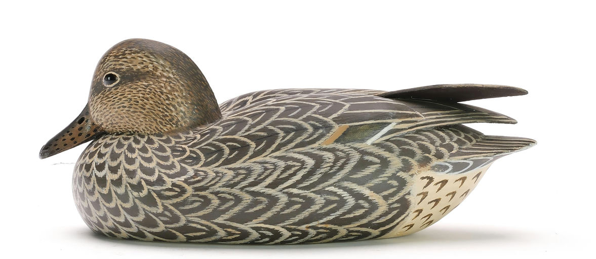 John McLoughlin – Green-winged Teal – 2024