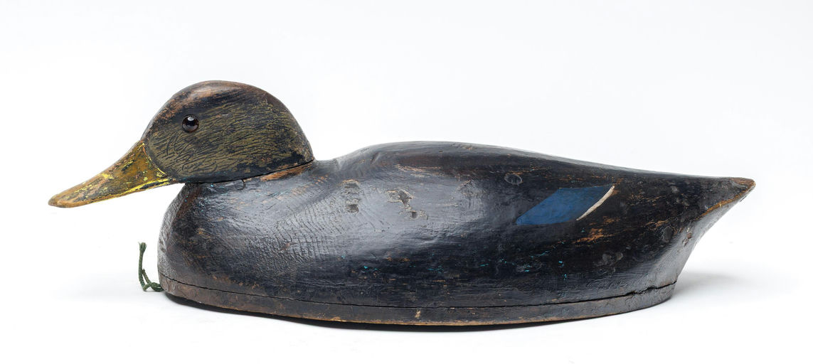 John R. Wells – Black duck – 2026