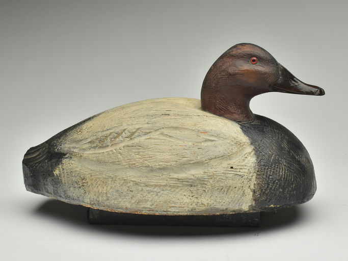 Tom Schroeder – Canvasback – 2023